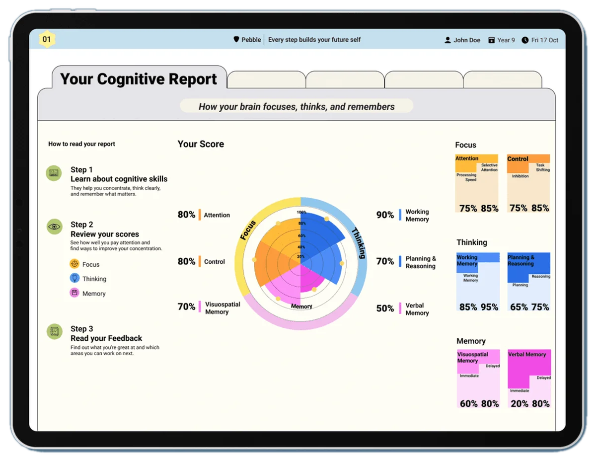 The report: a student's cognitive overview