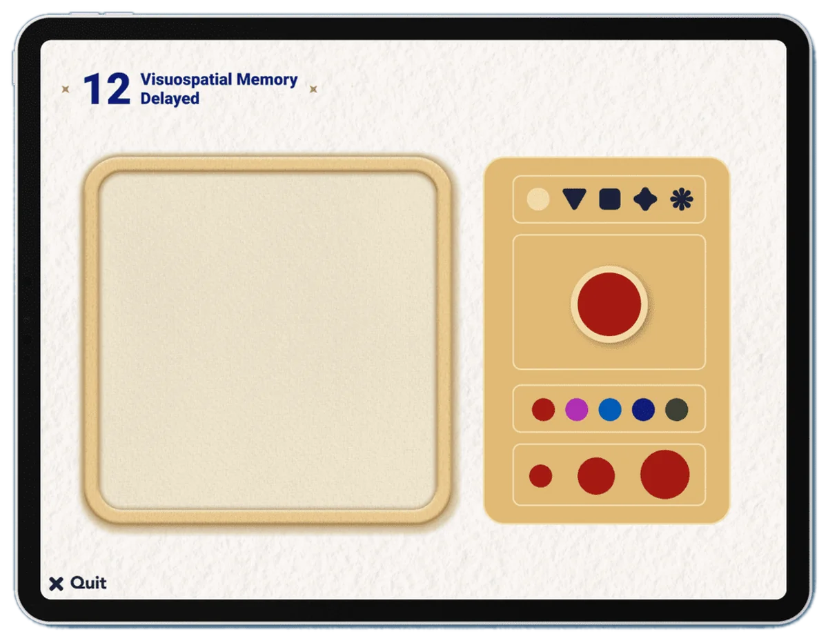 Visuospatial Memory Delayed task screen
