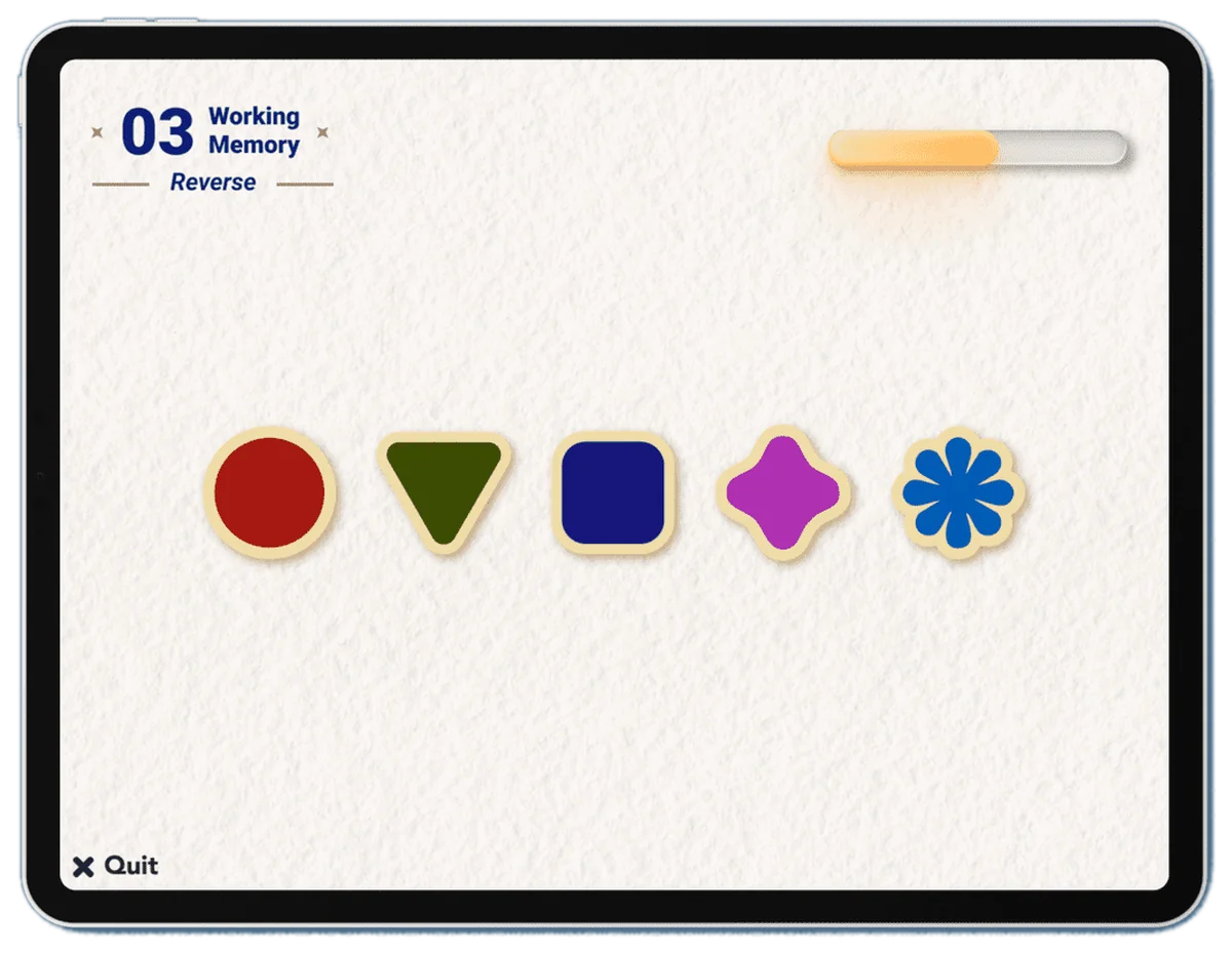 Working Memory task screen