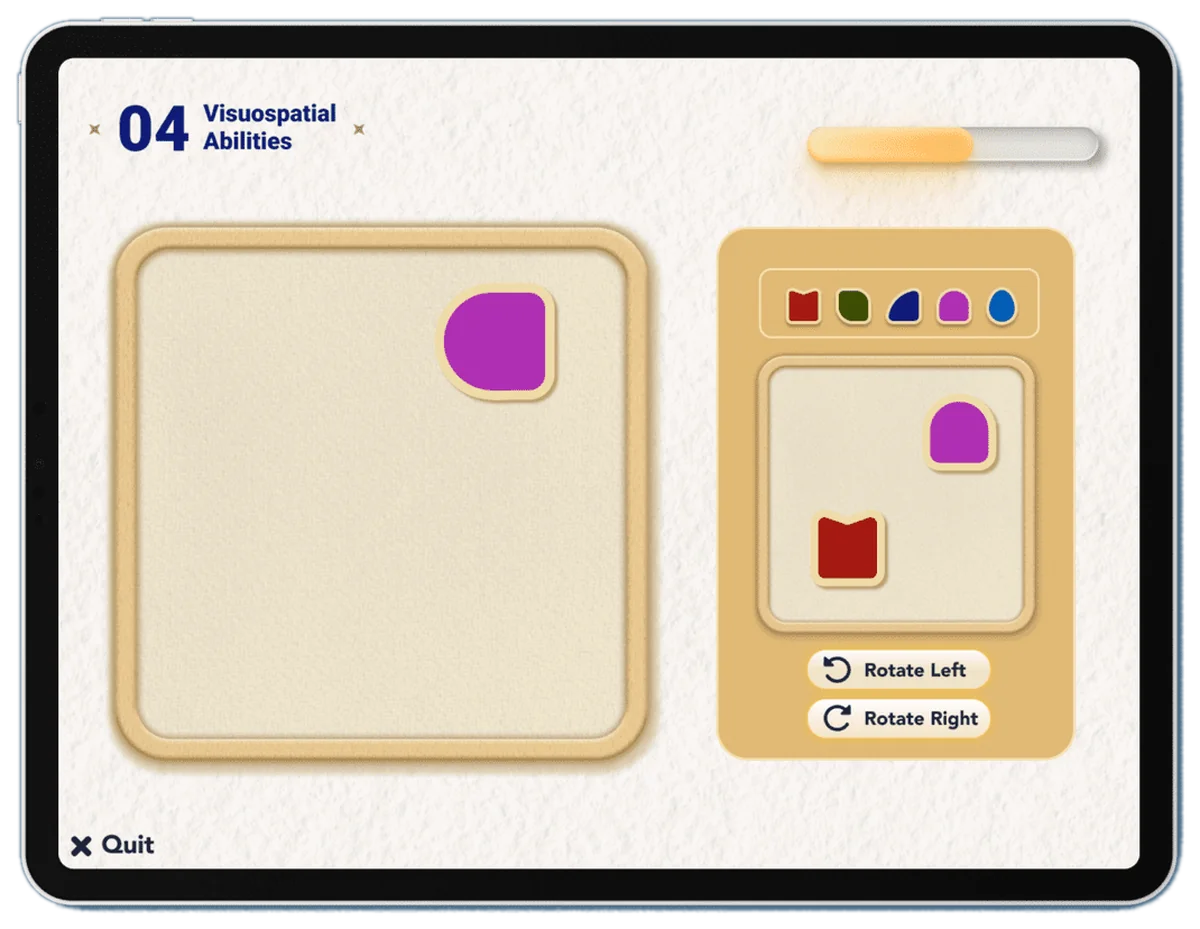 Visuospatial Abilities task screen