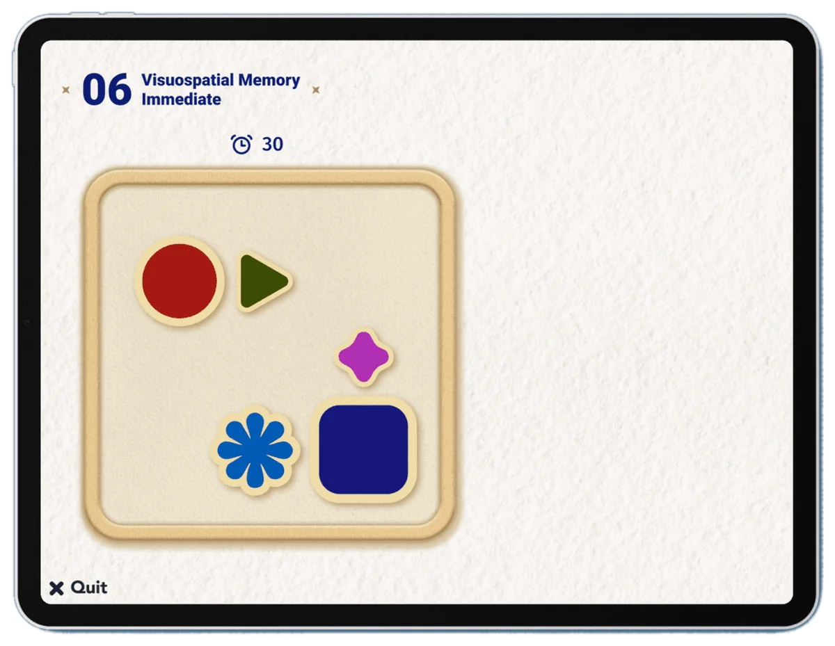 Visuospatial Memory Immediate task screen